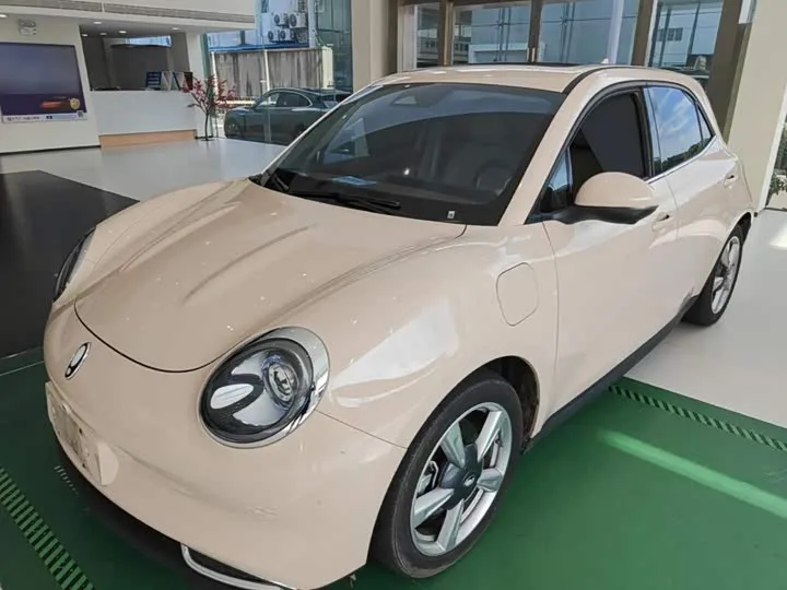 Ora Good Cat GT (03 GT) 2023 из Китая — купить под ключ