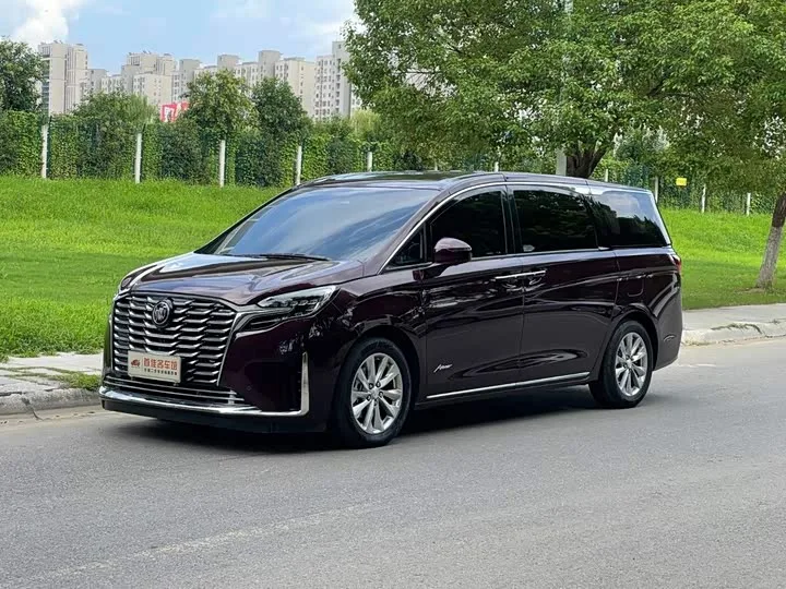 Buick GL8 ES 2024 из Китая — купить под ключ