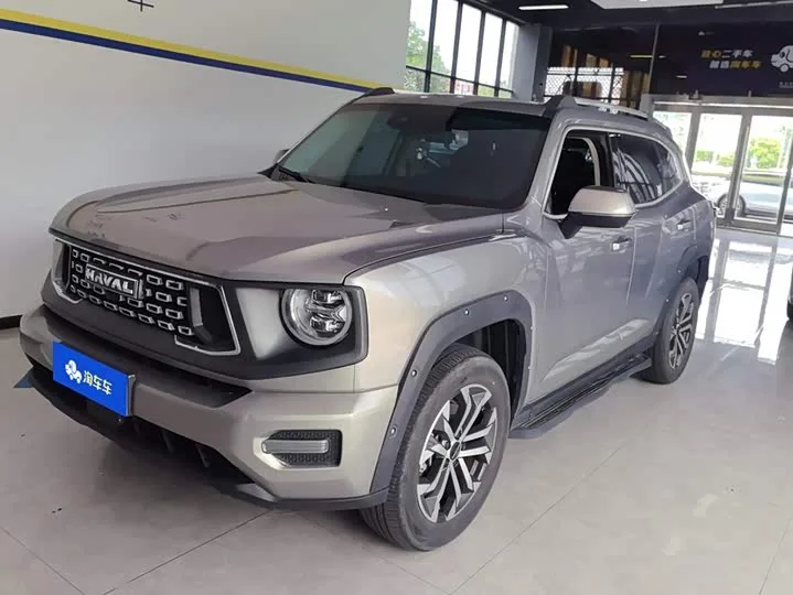 Haval H-Dog 2024 из Китая — купить под ключ