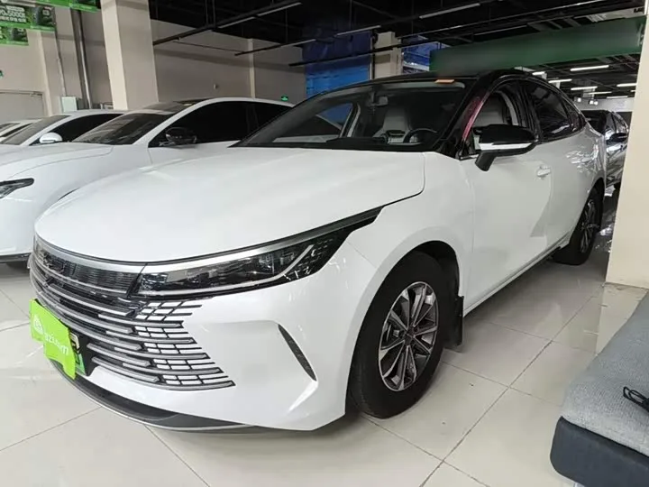 BYD Destroyer 05 2024 из Китая — купить под ключ