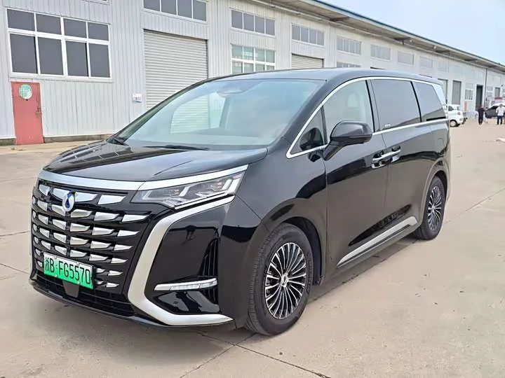 Denza D9 2024 из Китая — купить под ключ