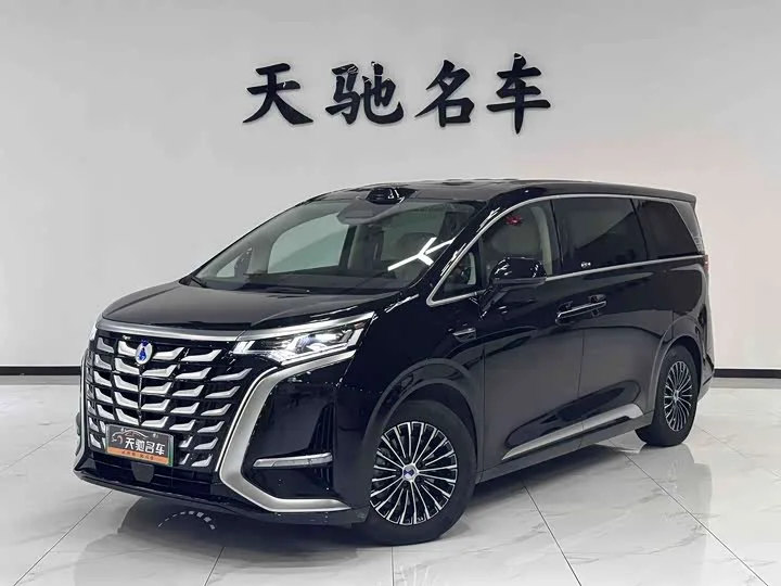 Denza D9 2025 из Китая — купить под ключ