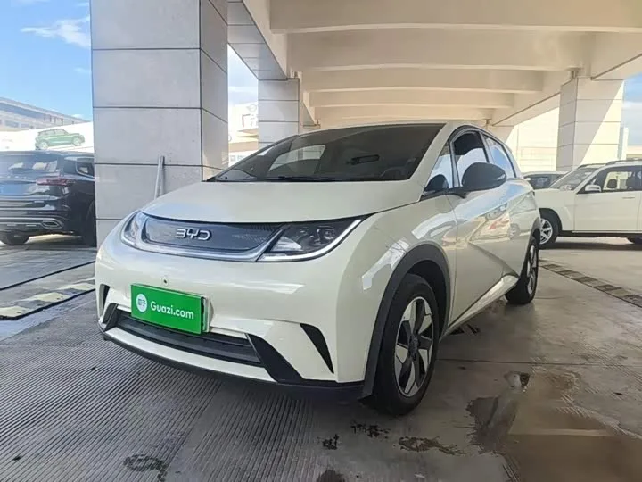 BYD Dolphin 2026 из Китая — купить под ключ