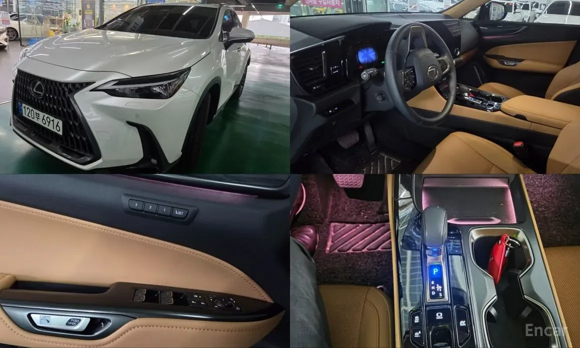 Lexus NX 2023 из Кореи — купить под ключ