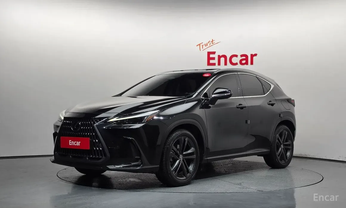 Lexus NX 2024 из Кореи — купить под ключ