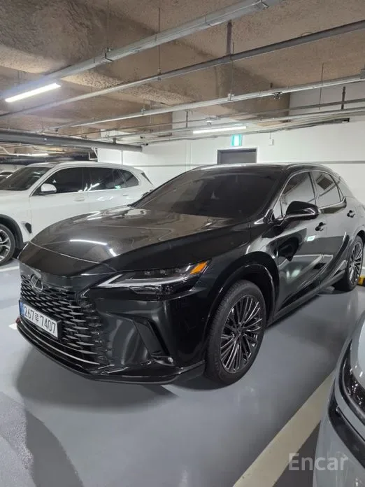 Lexus RX 2025 из Кореи — купить под ключ