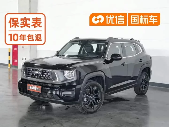 Haval H-Dog 2024 из Китая — купить под ключ