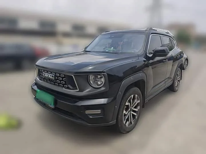 Haval H-Dog 2023 из Китая — купить под ключ