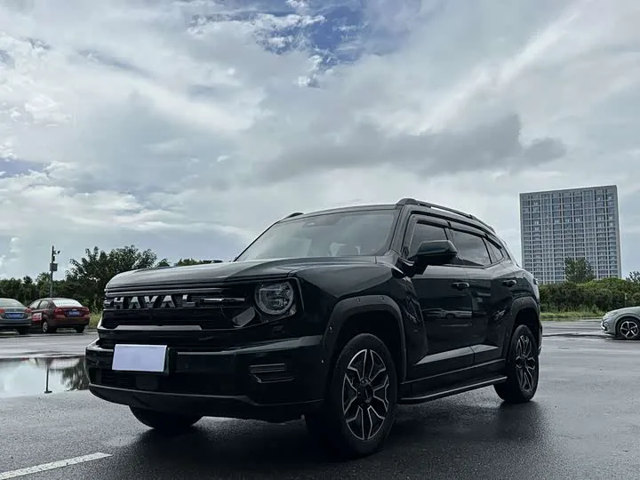Haval H-Dog 2026 из Китая — купить под ключ