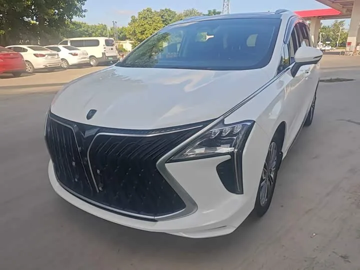 Dongfeng Forthing Yacht 2023 из Китая — купить под ключ