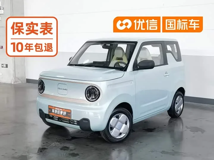 Geely Galaxy Panda Mini 2024 из Китая — купить под ключ