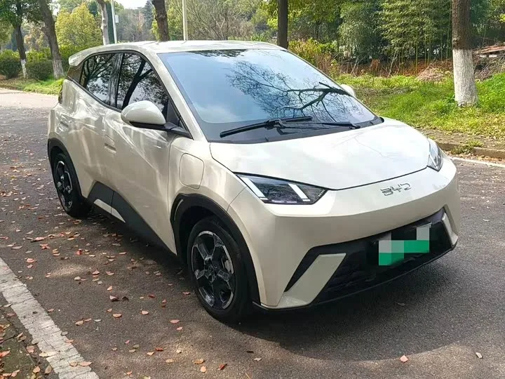BYD Seagull 2024 из Китая — купить под ключ