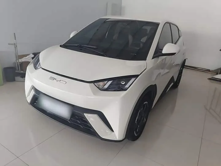 BYD Seagull 2023 из Китая — купить под ключ