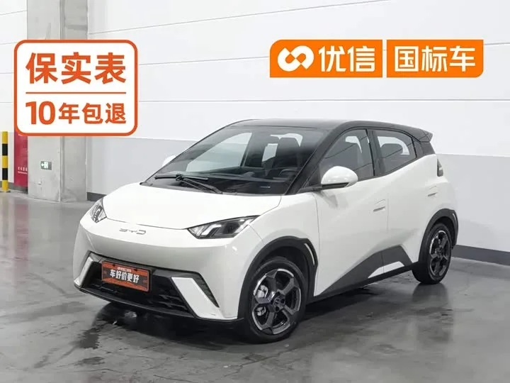 BYD Seagull 2023 из Китая — купить под ключ