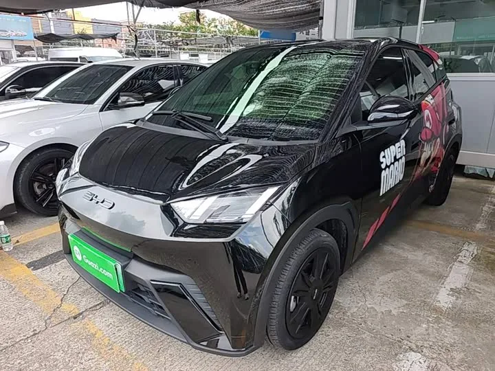 BYD Seagull 2023 из Китая — купить под ключ