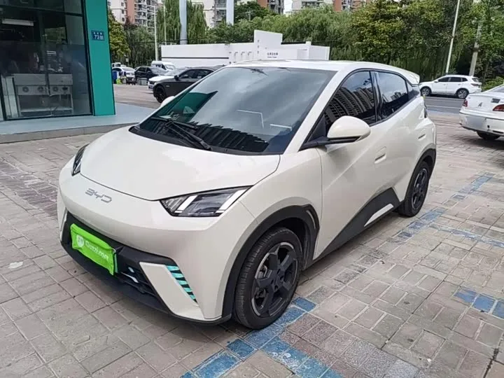 BYD Seagull 2024 из Китая — купить под ключ
