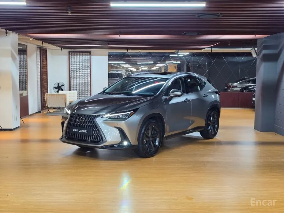 Lexus NX 2026 из Кореи — купить под ключ