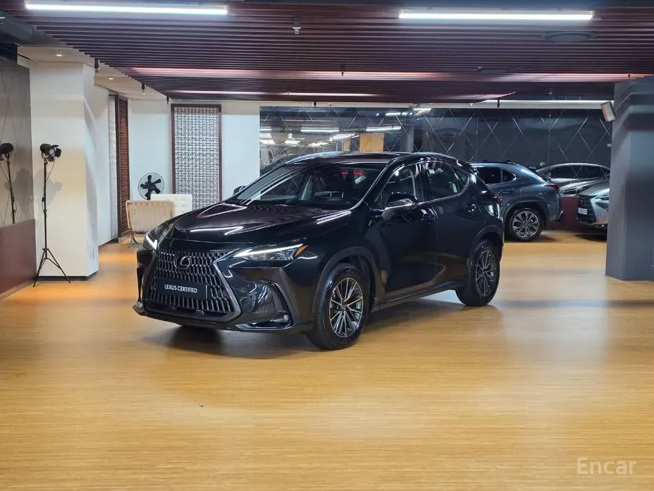 Lexus NX 2025 из Кореи — купить под ключ