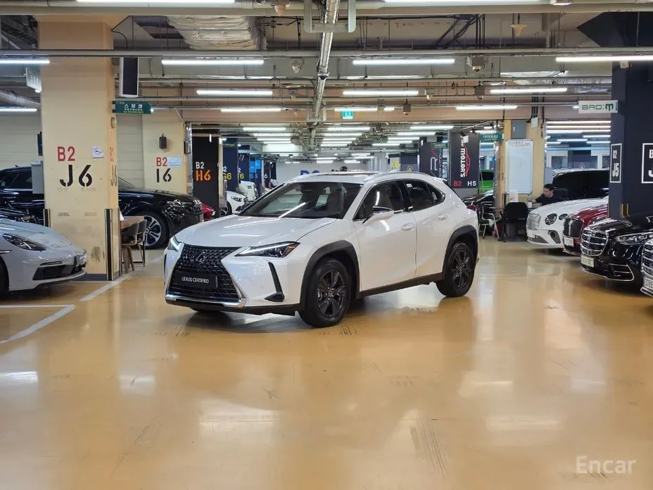Lexus UX 2025 из Кореи — купить под ключ