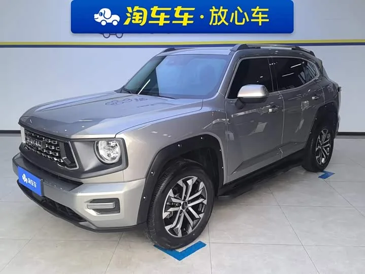 Haval H-Dog 2024 из Китая — купить под ключ