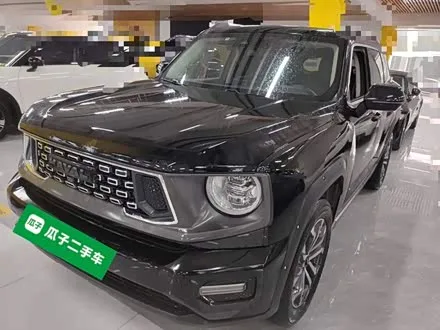 Haval H-Dog 2023 из Китая — купить под ключ