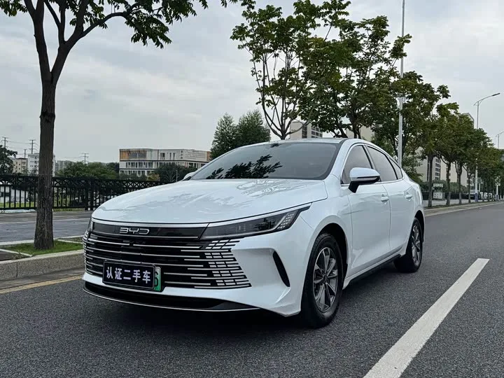 BYD Destroyer 05 2025 из Китая — купить под ключ