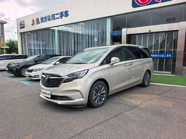 Buick GL8 ES 2022 из Китая — купить под ключ