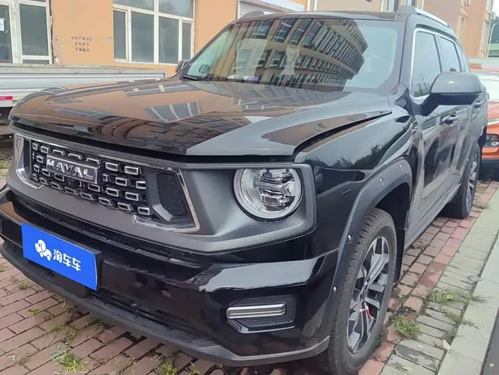 Haval H-Dog 2024 из Китая — купить под ключ