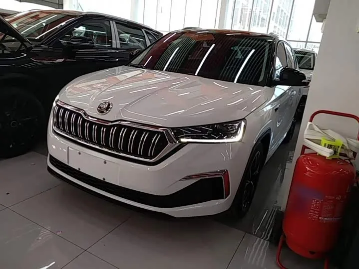 Skoda Kamiq 2024 из Китая — купить под ключ