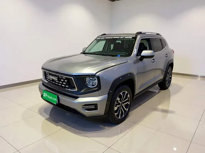 Haval H-Dog 2024 из Китая — купить под ключ