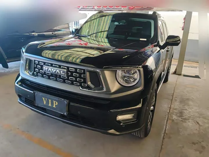 Haval H-Dog 2024 из Китая — купить под ключ