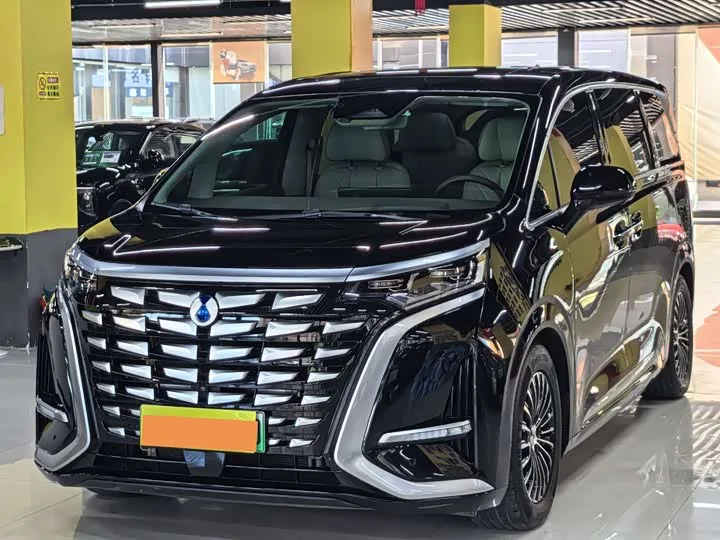 Denza D9 2023 из Китая — купить под ключ
