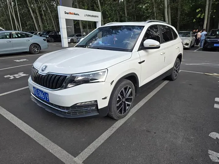 Skoda Kamiq 2022 из Китая — купить под ключ