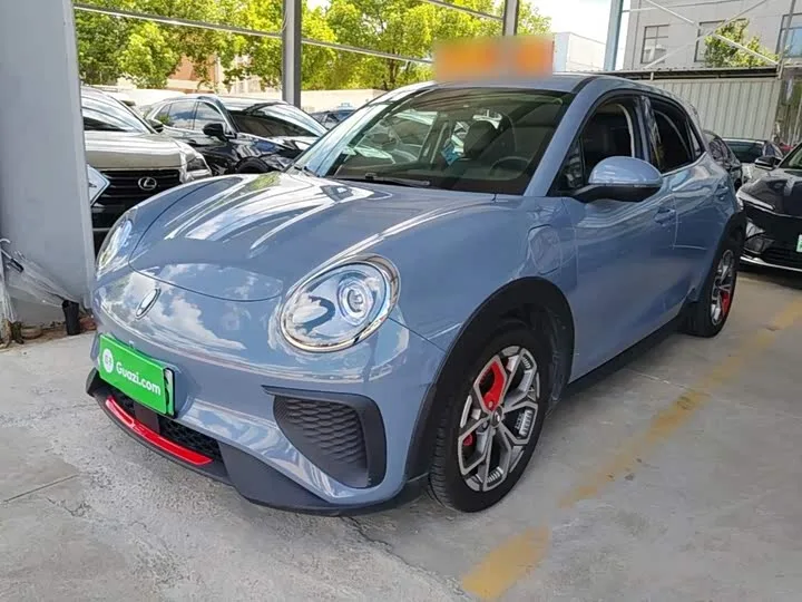 Ora Good Cat GT (03 GT) 2023 из Китая — купить под ключ