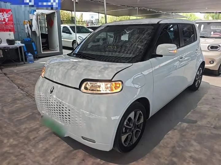 Ora White Cat 2022 из Китая — купить под ключ