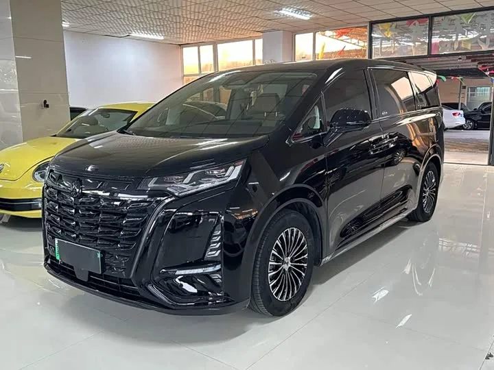 Denza D9 2024 из Китая — купить под ключ