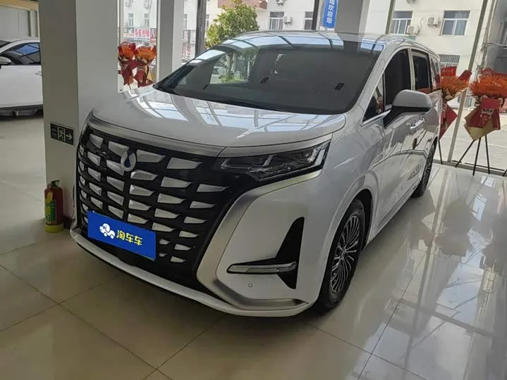 Denza D9 2023 из Китая — купить под ключ