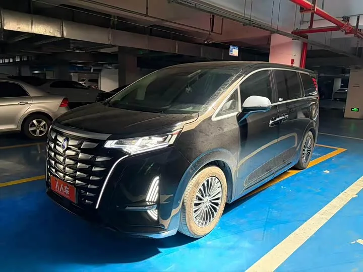 Denza D9 2024 из Китая — купить под ключ