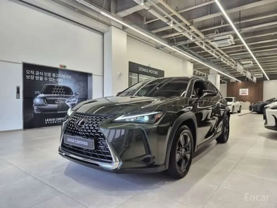 Lexus UX 2025 из Кореи — купить под ключ