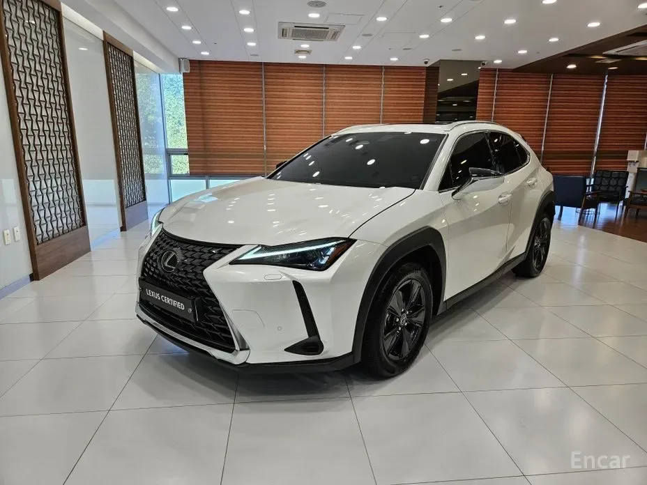 Lexus UX 2025 из Кореи — купить под ключ