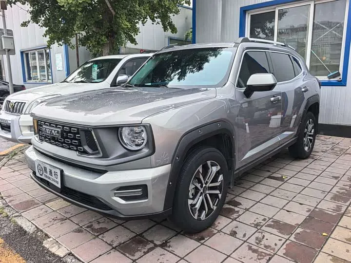 Haval H-Dog 2023 из Китая — купить под ключ
