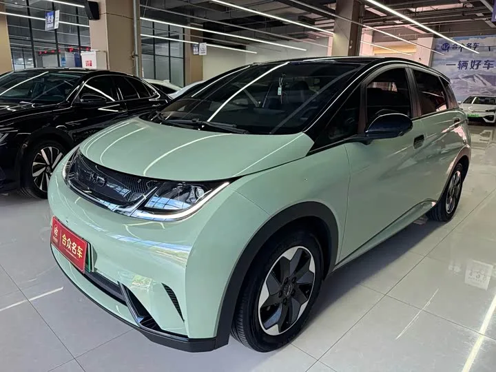 BYD Dolphin 2024 из Китая — купить под ключ