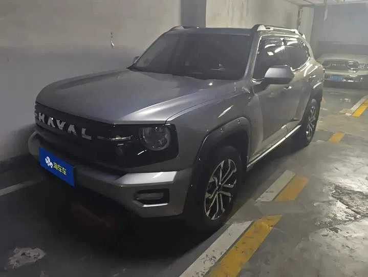 Haval H-Dog 2026 из Китая — купить под ключ