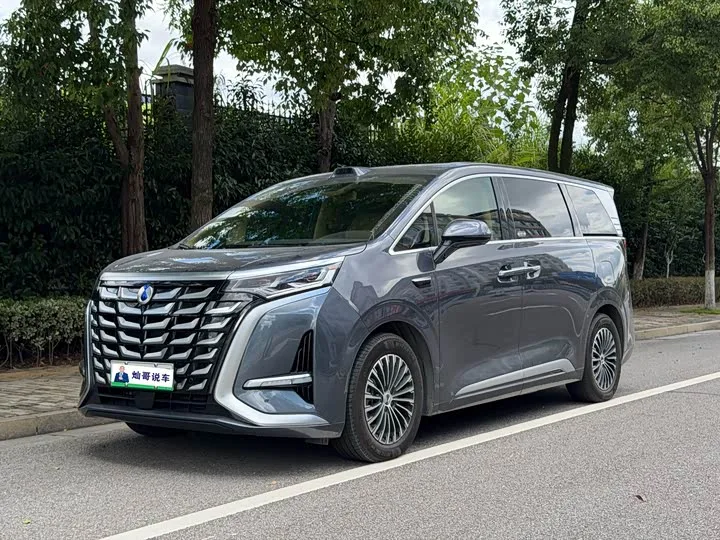 Denza D9 2025 из Китая — купить под ключ