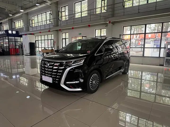 Denza D9 2024 из Китая — купить под ключ