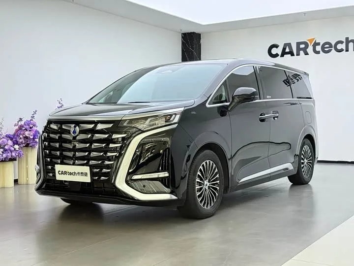 Denza D9 2023 из Китая — купить под ключ