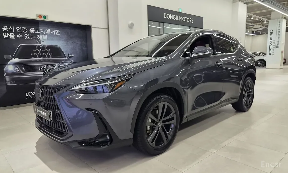 Lexus NX 2025 из Кореи — купить под ключ