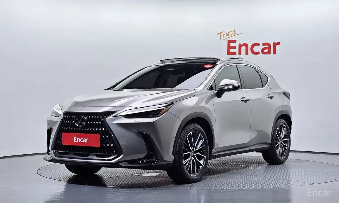 Lexus NX 2025 из Кореи — купить под ключ