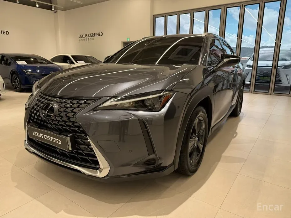 Lexus UX 2025 из Кореи — купить под ключ
