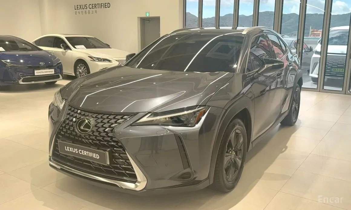 Lexus UX 2025 из Кореи — купить под ключ